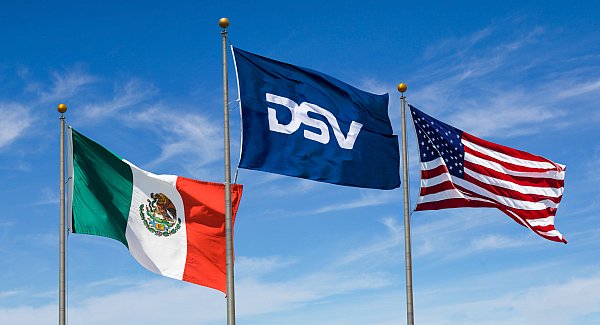 DSV_Flags_1_V3.jpg