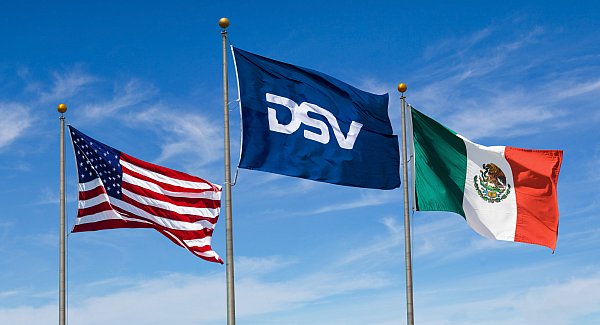 DSV_Flags_2_V3.jpg